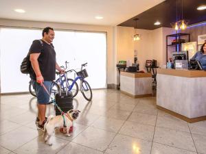 里约热内卢科帕卡巴纳珀斯图2号宜必思酒店的商店里狗皮带的男人