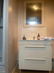 奥尔良La Bretonnerie *T2*的浴室设有白色水槽和镜子