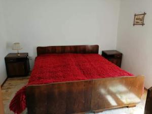 季米特洛夫格勒ETNO KOMPLEX NIKOLOV的一间卧室配有一张床铺,床上铺有红色毯子