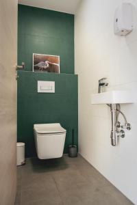 塞格德Nádas Apartman的绿色浴室设有卫生间和水槽