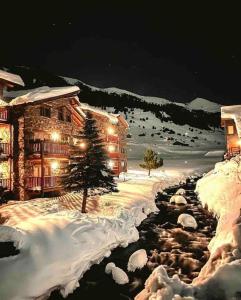 卡尼略Exclusiva Cabaña en Vall D'Incles - Pistas de Ski & Vistas al Valle - Parking Incluido的雪中的一个小木屋