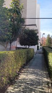 马德里El Colmenar Habitaciones的灌木丛建筑前的一条人行道
