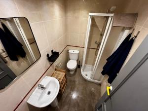米耶雷斯The Orange Teddy Bear Hostels La Peña的一间带水槽、卫生间和镜子的浴室