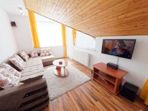 布拉索夫绿洲酒店的带沙发和平面电视的客厅