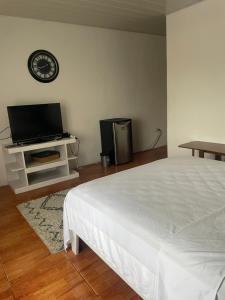奎波斯城Cómodo dormitorio的一间卧室配有一张床和一台平面电视