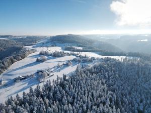 施兰贝格Ferienwohnung Im Grünen的享有积雪覆盖的山丘的空中美景,