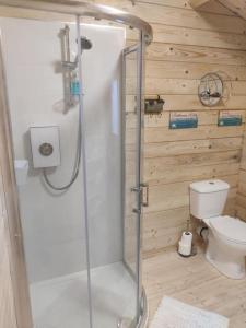 莫维尔Luxury log cabin with wood fired hot tub的带淋浴的浴室和卫生间