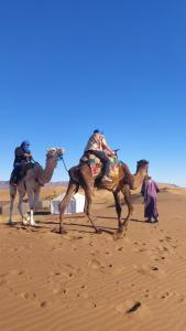 BrijaTinfou desert camp的沙漠中走在沙子里的两只骆驼