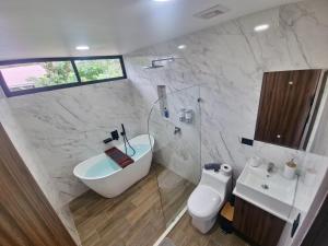 福尔图纳Villa El Bosque Dorado的一间带水槽、卫生间和淋浴的浴室