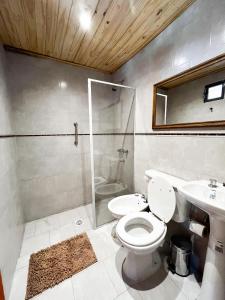 VinchinaFinca German的浴室配有卫生间、淋浴和盥洗盆。