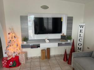 法哈多Life Is Good的一间带电视和圣诞树的客厅
