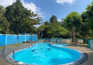锡吉里亚The Green Heaven Resort的拥有蓝色海水和树木的游泳池