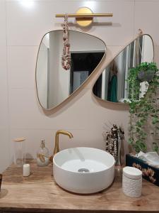 拉特斯Appartement REZ DE JARDIN avec SPA entre la MER et Montpellier 10mn的浴室设有白色水槽和镜子