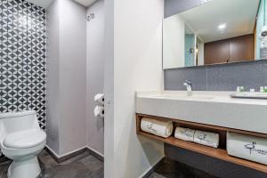 墨西哥城Hotel Flamencos的一间带卫生间、水槽和镜子的浴室