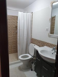 锡比乌NANA"S HOUSE APARTAMENT 2 Camere,2 bai的浴室配有卫生间、盥洗盆和淋浴。