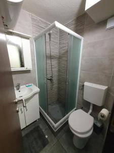 科帕奥尼克Vila Veljkovic的带淋浴、卫生间和盥洗盆的浴室