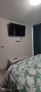 圣地亚哥Departamento nuevo y cómodo的卧室配有一张床和壁挂式平面电视。