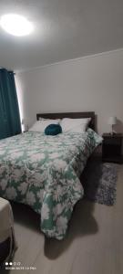 圣地亚哥Departamento nuevo y cómodo的一间卧室配有一张带绿色和白色棉被的床