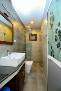 Gonapinuwala WestThisath Villa的一间带水槽、淋浴和卫生间的浴室