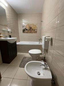 布拉索夫Londof Villa with panoramic view的浴室配有盥洗盆、卫生间和浴缸。