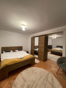 布拉索夫Londof Villa with panoramic view的一间卧室配有一张大床和镜子