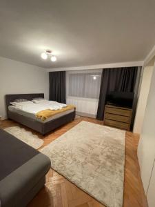 布拉索夫Londof Villa with panoramic view的一间卧室配有一张床和一台平面电视