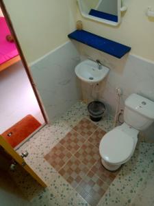 高龙撒冷岛Baloo Guesthouse的一间带卫生间和水槽的小浴室