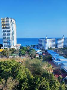 普拉亚科罗纳多Apartamentos en Playa Coronado的一座拥有高楼和海洋的城市