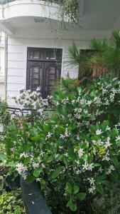 大叻Wasabi House - Homestay bên chợ đà lạt的房子前面的一束白色花