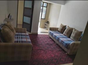 苏瓦Barrett Accommodation Budget Rooms的客厅配有两张沙发和红地毯