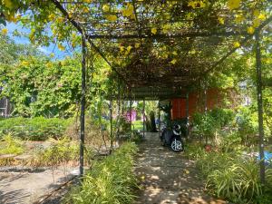 富国Lana Land Homestay Phu Quoc的花园内有凉棚和摩托车停放在里面