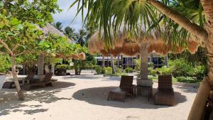 Santa FePili Beach Resort Agmanic的一个带椅子和遮阳伞及棕榈树的庭院