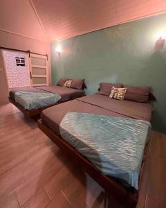 卡斯特里Nature World St.Lucia的双床间设有2张单人床。