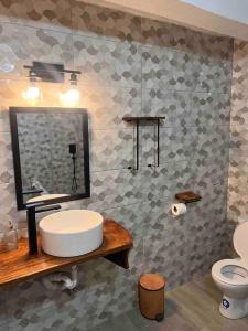 卡斯特里Nature World St.Lucia的一间带水槽、镜子和卫生间的浴室