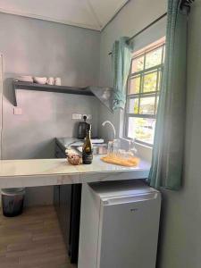 卡斯特里Nature World St.Lucia的厨房配有带水槽的柜台和窗户。