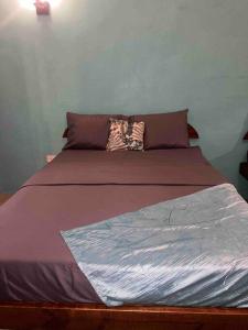 卡斯特里Nature World St.Lucia的一张带紫色床单的床和一个枕头