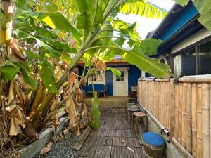 沼津Numazu - House - Vacation STAY 52025v的香蕉树屋前的木人行道