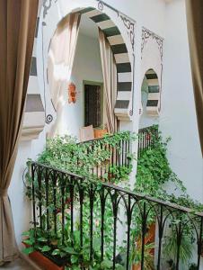 突尼斯天井庭院旅馆的带有栏杆和镜子的楼梯