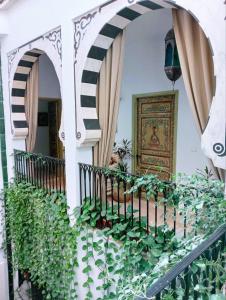 突尼斯天井庭院旅馆的一个带植物阳台和门的房子