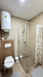 科帕奥尼克Apartman Vana的一间带卫生间和玻璃淋浴间的浴室