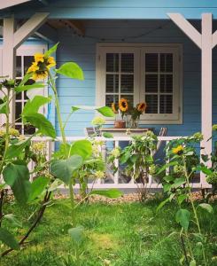 海尔德罗普Bed and breakfast de Heg的前廊上带向日葵的蓝色房子