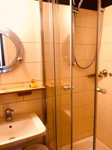 威廉港beans parc hotel jade的浴室里设有玻璃门淋浴