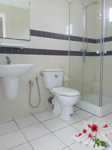 哈马马特Hôtel Romane的浴室配有卫生间、淋浴和盥洗盆。