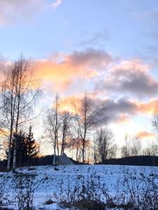 图什比Winter Glamping Tent Hovfjallet Vitsand的一群树木在雪地里,日落
