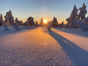 图什比Winter Glamping Tent Hovfjallet Vitsand的一条有雪覆盖的道路,远处有太阳