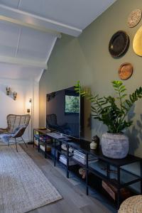 宁斯佩特Huusje21的一间带电视和盆栽植物的客厅