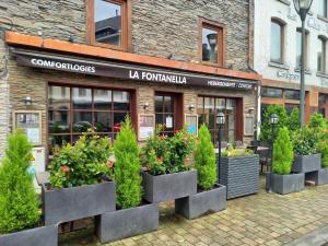 拉罗什-阿登Hebergement confort Comfortlogies La Fontanella的前面有盆栽植物的商店
