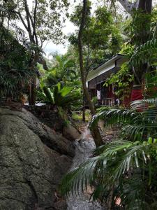 帕干岛Seafront Jungle Bungalow的森林里的房子,前面有小溪