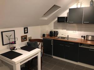 布吕根Appartment Viola的厨房配有黑色橱柜和白色台面