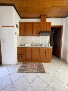 埃拉蒂特里卡隆ΑΓΝΑΝΤΕΜΑ的厨房配有木制橱柜和地板上的地毯。